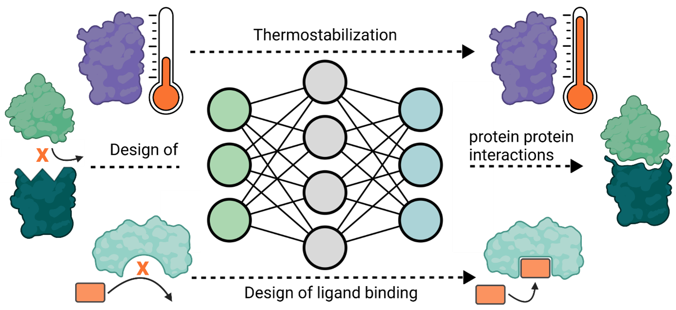 Schematic Application Areas of the Prediction System.