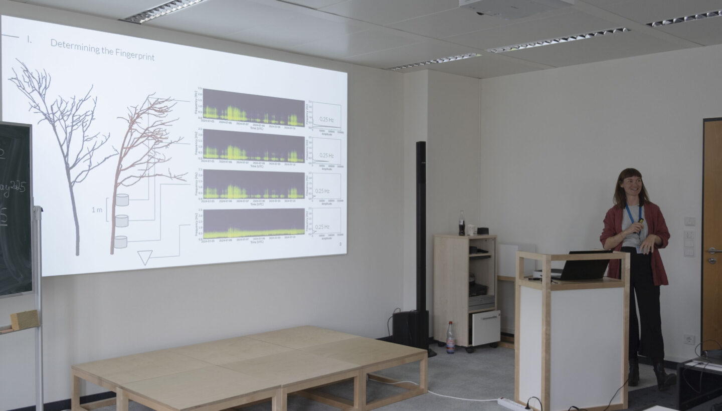 In a classroom, a presenter stands by a projection screen displaying the slide titled “Determining the Fingerprint.” The slide features a diagram of two trees with branching structures and a clearly marked 1-meter scale, along with four graphs labeled "0.25 Hz" plotting data over time. To the left, a chalkboard shows handwritten notes including “gray205” and “205.”