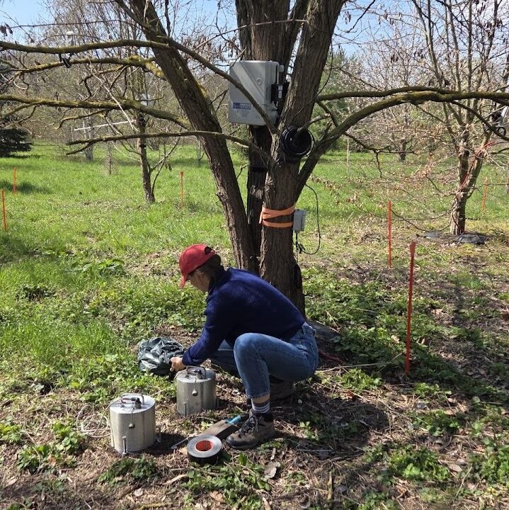 Field Research among the Trees with Dr. Josefine Umlauft