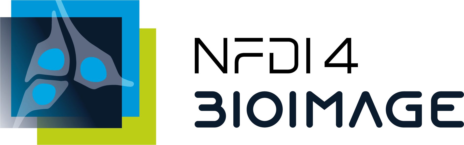 Logo. NFDI4Bioimage.