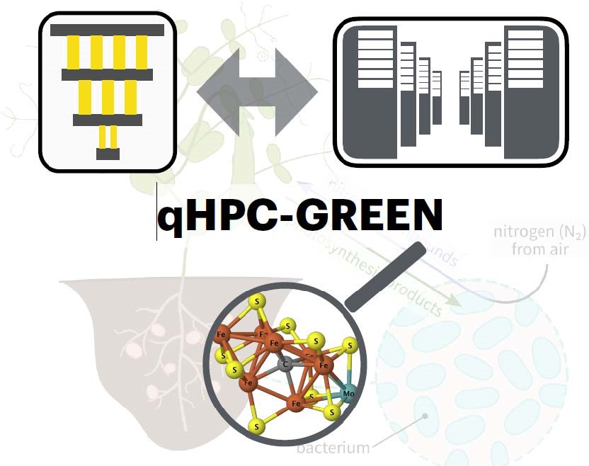 Infographic with the title 'qHPC-GREEN' in bold black text. At the top, there are two icons: on the left, a schematic representation of a quantum computer (QC) with yellow lines and black horizontal bars, and on the right, an illustration of a traditional high-performance computing (HPC) server setup. Between them, a double-headed arrow indicates a combined HPC and QC approach . Below, a magnifying glass highlights the molecular structure of the FeMo cofactor, with iron (Fe) and sulfur (S) atoms, representing a biological or chemical process. Faintly in the background, there is an illustration of plant roots and bacterial cells, with text mentioning 'nitrogen (N2) from air' and 'bacterium,' showing a connection to nitrogen fixation or a biological process.