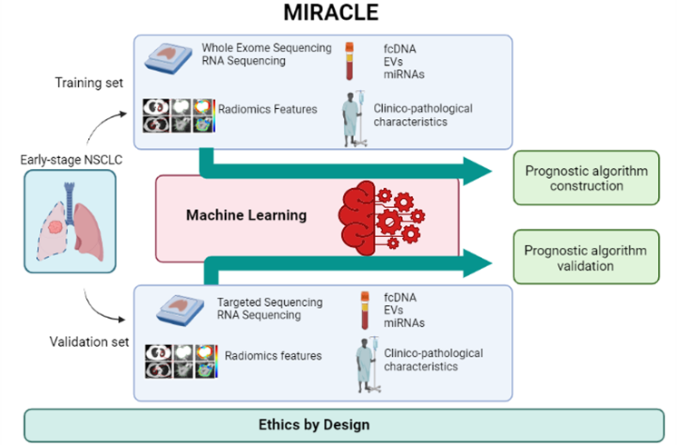 MIRACLE: A Machine learning approach to Identify patients with Resected non-small-cell lung cAnCer with high risk of reLapsE