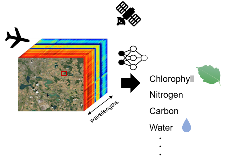 Visualization. Project "Plant Functional Trait Retrieval from Spectra Using Deep Learning Advances"